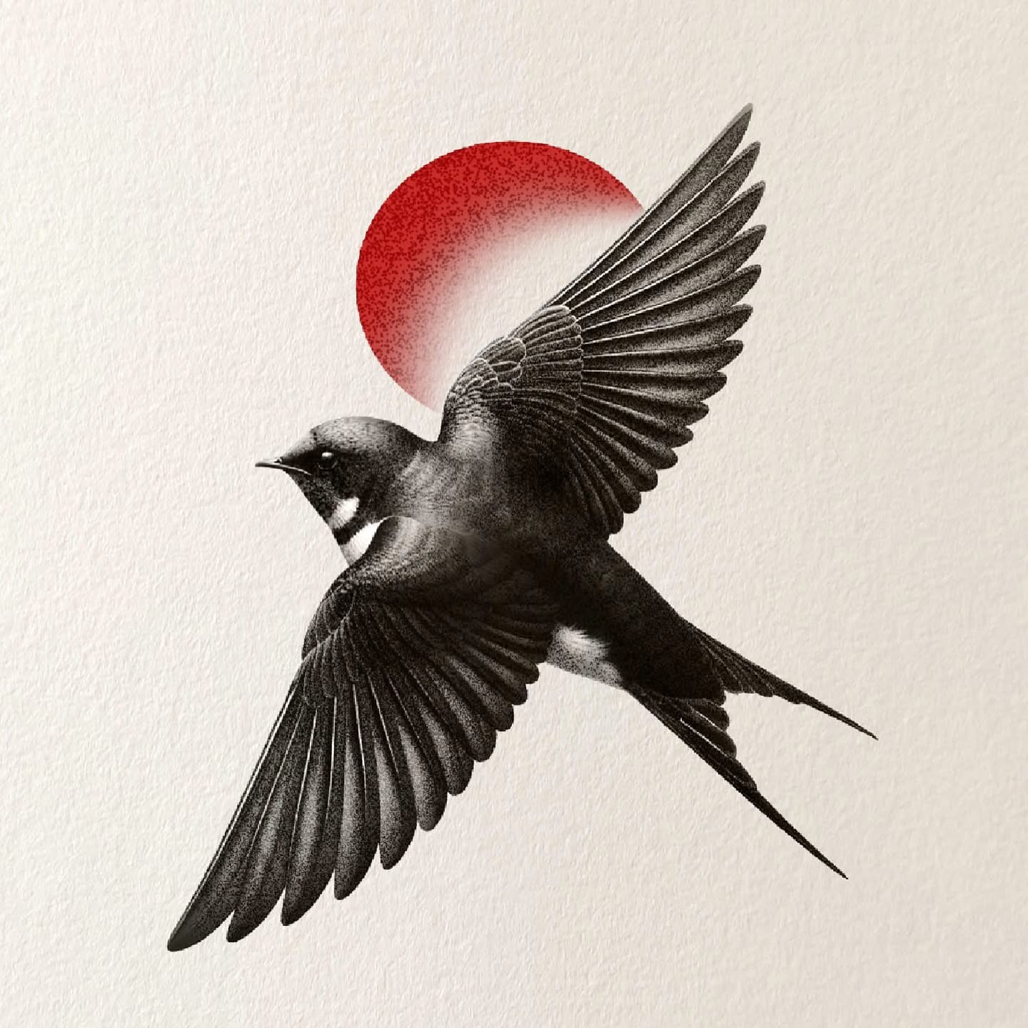 Fly bird